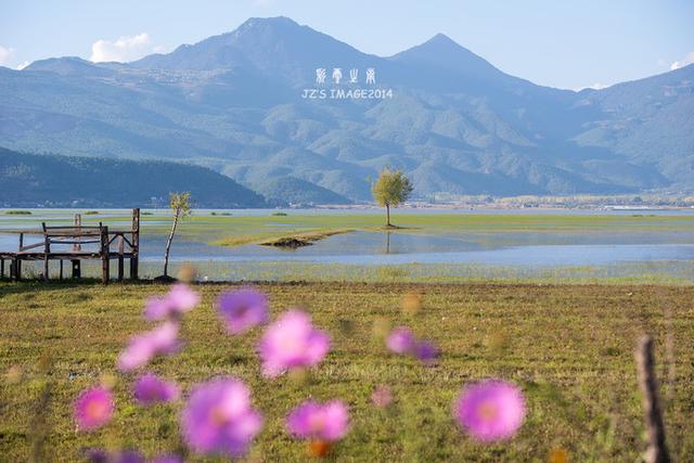凯千分析最新，自然之旅的心灵探寻，追寻内心的宁静与美景