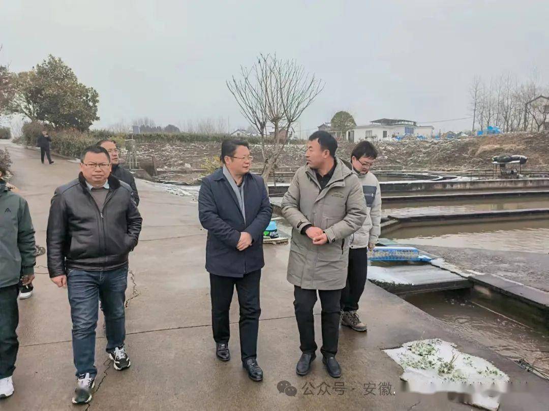 桐城汪革新最新动态更新